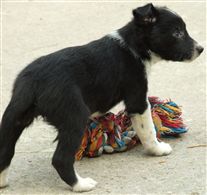 Click for large image