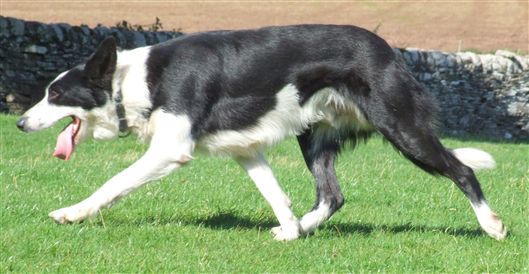 Click for large image