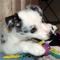 Click for large image