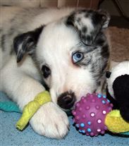 Click for large image