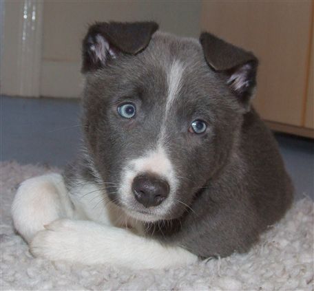 Click for large image