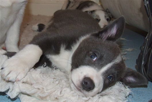 Click for large image