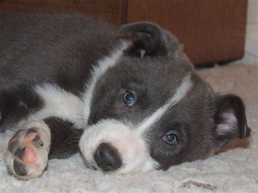 Click for large image