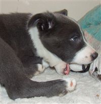 Click for large image