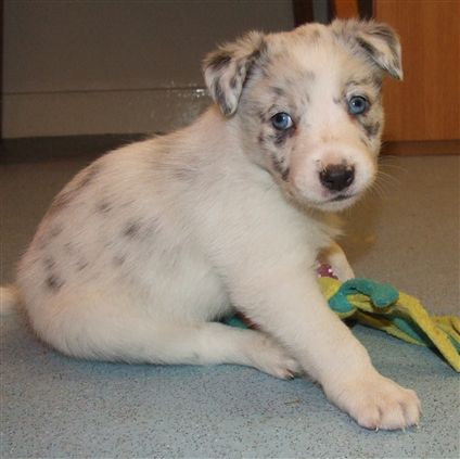 Click for large image