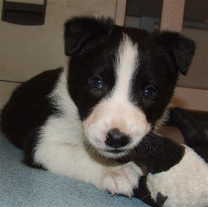 Click for large image