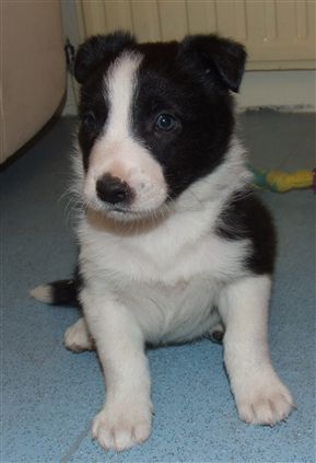 Click for large image