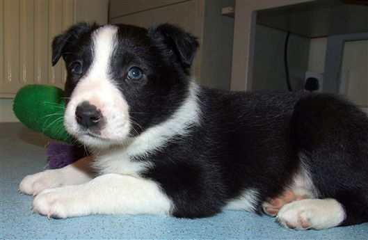 Click for large image