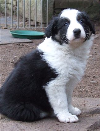 Click for large image