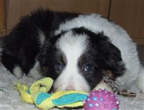 Click for large image