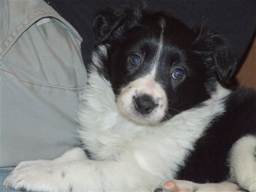 Click for large image