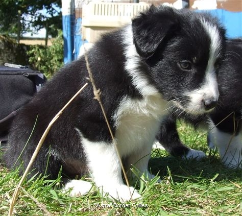 Click for large image