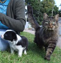 Click for large image