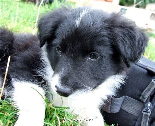 Click for large image