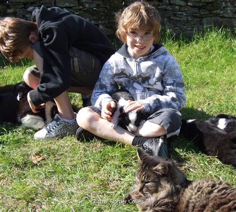 Click for large image