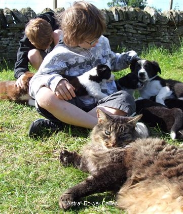 Click for large image