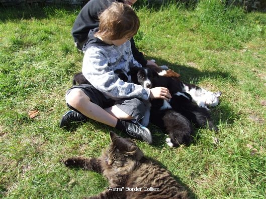 Click for large image