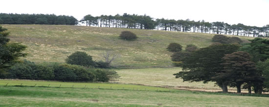 Dunnichen Hill